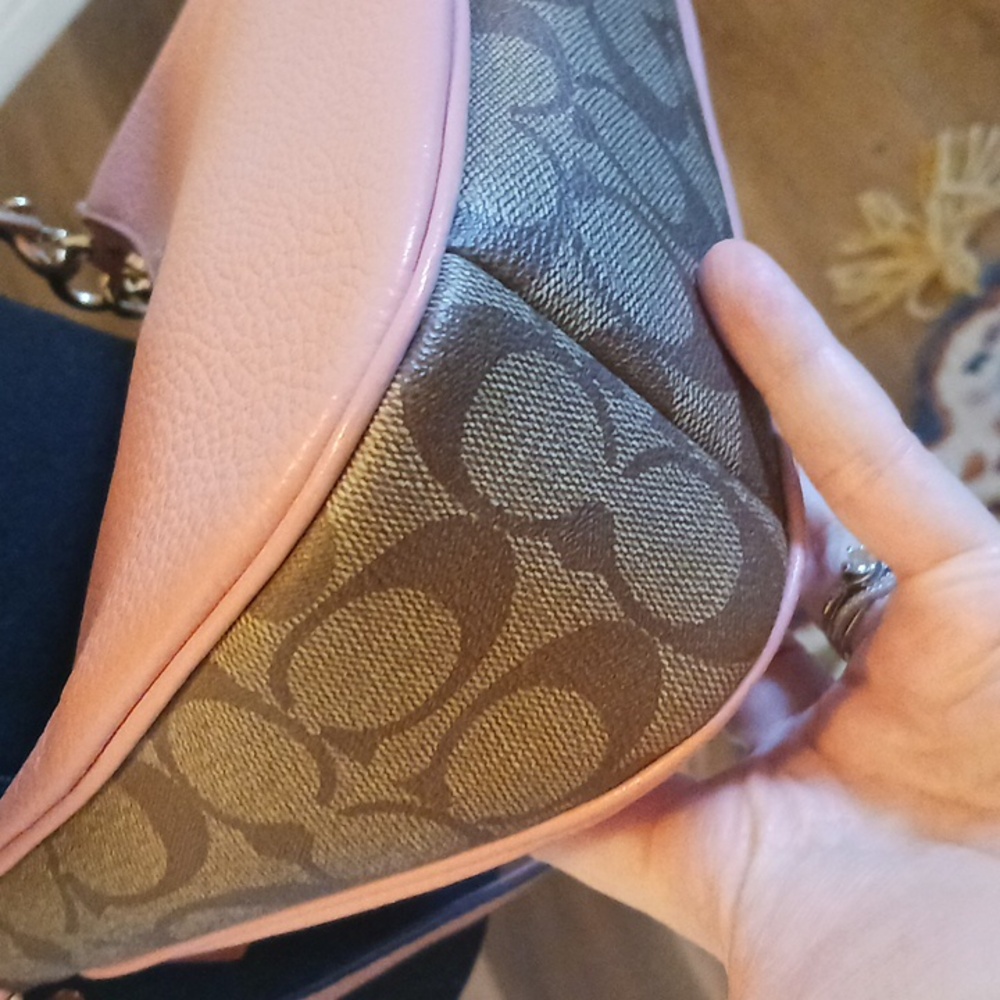 Coach Teri Candy Pink Leather with Creature Patches Crossbody Bag - Picture 6 of 14